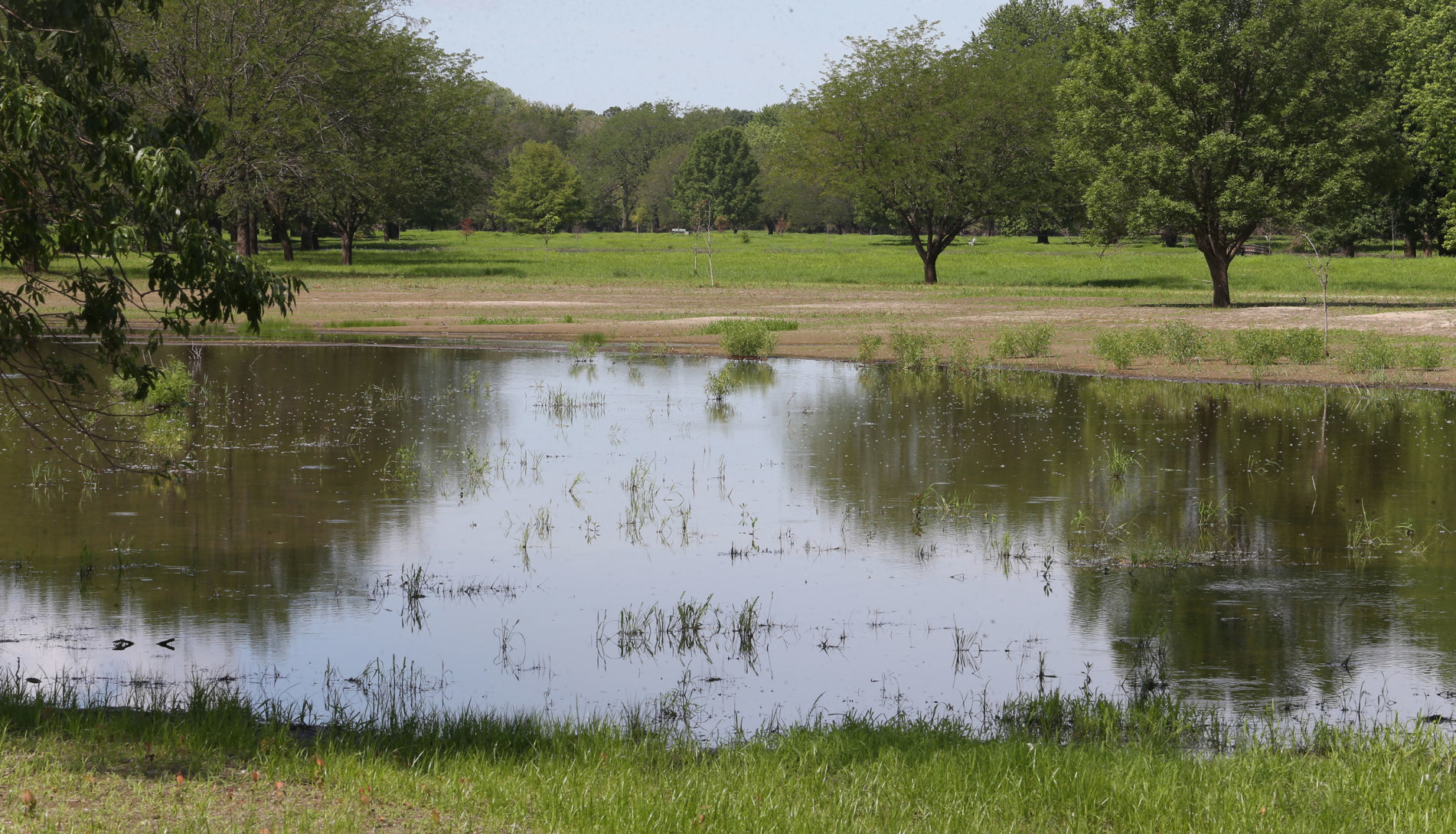 072019-qct-qca-ickes-014